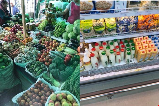 WPO and UNIDO Project in Mongolia