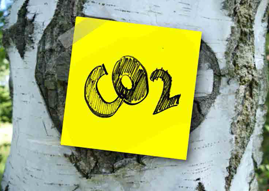 Toyo Ink Group Sürdürülebilirlik Vizyonunu Açıkladı 